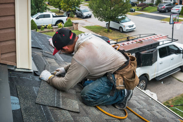 Professional Storm Damage Roof Repair technician working in Newport, NC